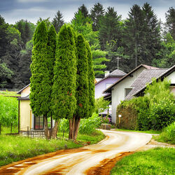 Jigsaw puzzle: Road
