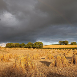 Jigsaw puzzle: Haymaking in summer