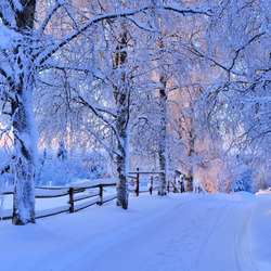 Jigsaw puzzle: Road in winter