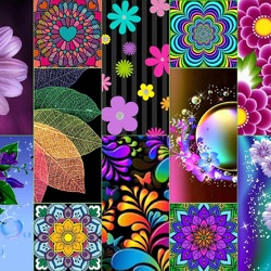 Jigsaw puzzle: Flower collage
