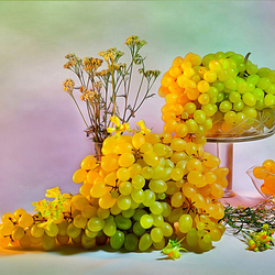 Jigsaw puzzle: How sweet the grapes