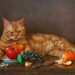 Jigsaw puzzle: This food is not for cats