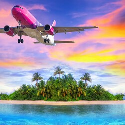 Jigsaw puzzle: Plane over the island