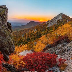 Jigsaw puzzle: Southern autumn colors