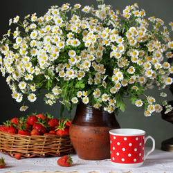 Jigsaw puzzle: Chamomile and strawberry