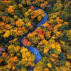Jigsaw puzzle: Autumn road