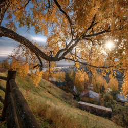 Jigsaw puzzle: Autumn in nature