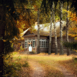 Jigsaw puzzle: Hut in the forest