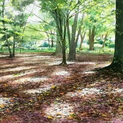Jigsaw puzzle: Forest light