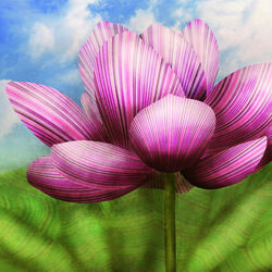 Jigsaw puzzle: Lotus - a symbol of purity