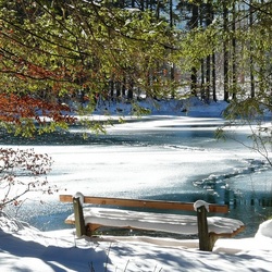 Jigsaw puzzle: Winter day