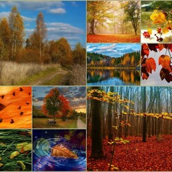Jigsaw puzzle: Scenes from autumn