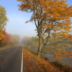 Jigsaw puzzle: Autumn on the road