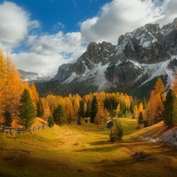 Jigsaw puzzle: Autumn in the Alps