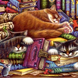 Jigsaw puzzle: Cat library