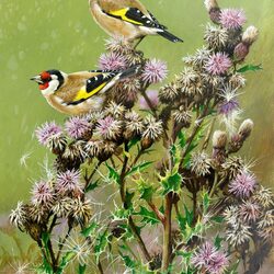 Jigsaw puzzle: Goldfinches