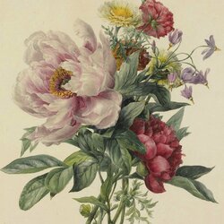 Jigsaw puzzle: Bouquet with peony