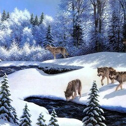 Jigsaw puzzle: Wolves on the river