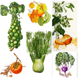 Jigsaw puzzle: Fruit and vegetable fantasy