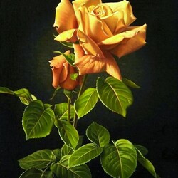Jigsaw puzzle: Yellow rose