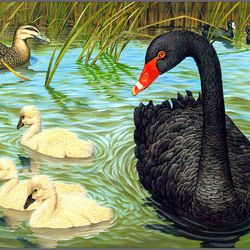 Jigsaw puzzle: Ugly ducklings with their beautiful mother