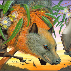 Jigsaw puzzle: Flying foxes