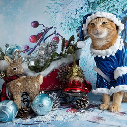 Jigsaw puzzle: New year cat