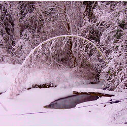 Jigsaw puzzle: In winter on the river