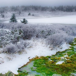 Jigsaw puzzle: Green thaw