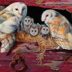 Jigsaw puzzle: Family of owls