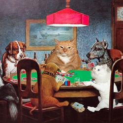 Jigsaw puzzle: This is poker guys