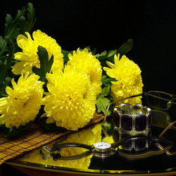 Jigsaw puzzle: Yellow chrysanthemums