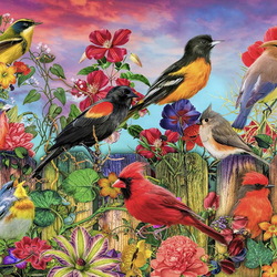 Jigsaw puzzle: Bright birds