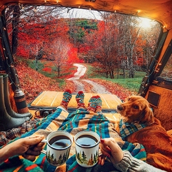 Jigsaw puzzle: Coffee in nature