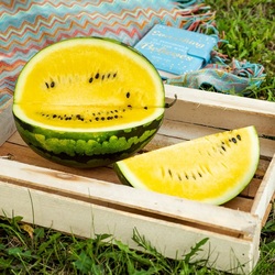 Jigsaw puzzle: Yellow watermelon