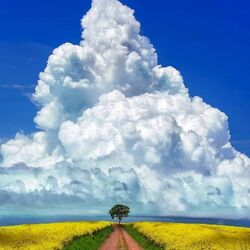 Jigsaw puzzle: Road to clouds