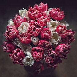 Jigsaw puzzle: Gently pink bouquet