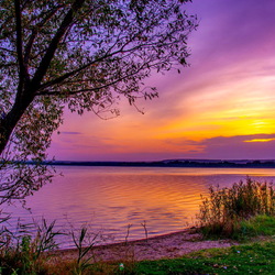 Jigsaw puzzle: Lilac evening