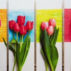 Jigsaw puzzle: Collage with tulips
