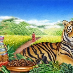 Jigsaw puzzle: Bengal tiger