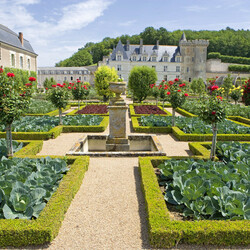 Jigsaw puzzle: French vegetable garden