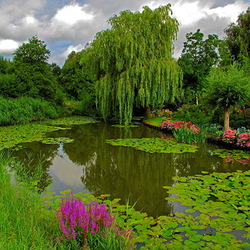 Jigsaw puzzle: Flowers by the pond