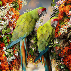 Jigsaw puzzle: Green macaw