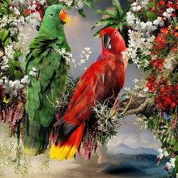 Jigsaw puzzle: Noble green-red parrots