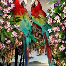 Jigsaw puzzle: Green-winged macaw