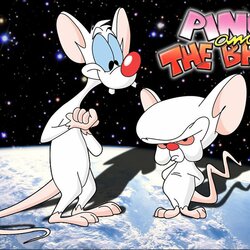 Jigsaw puzzle: Pinky and Brain