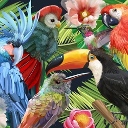 Jigsaw puzzle: Colors of the tropics