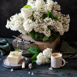 Jigsaw puzzle: White lilac