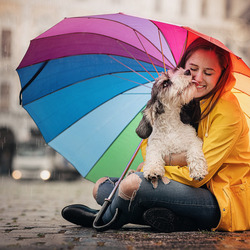 Jigsaw puzzle: Girl with umbrella and dog