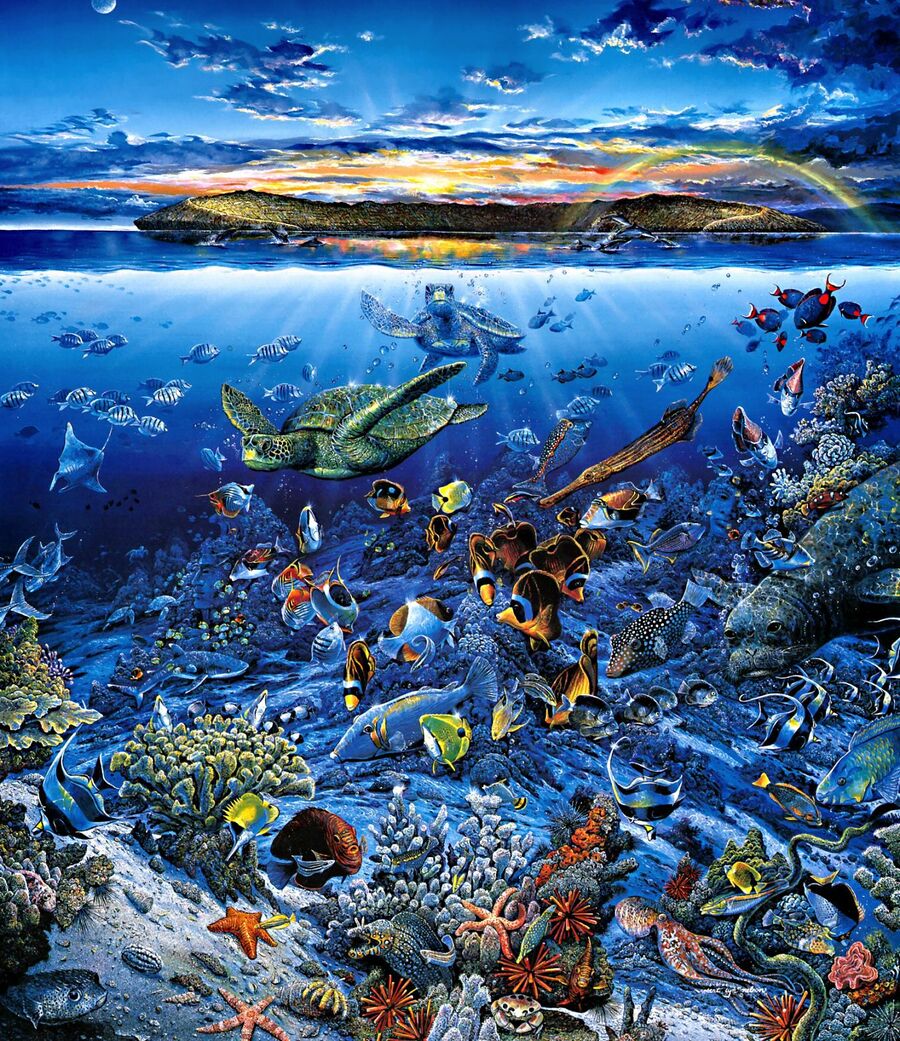 Мир морских глубин. Подводный пейзаж. Подводный морской пейзаж. Пейзажи морских глубин. Картина подводный пейзаж.